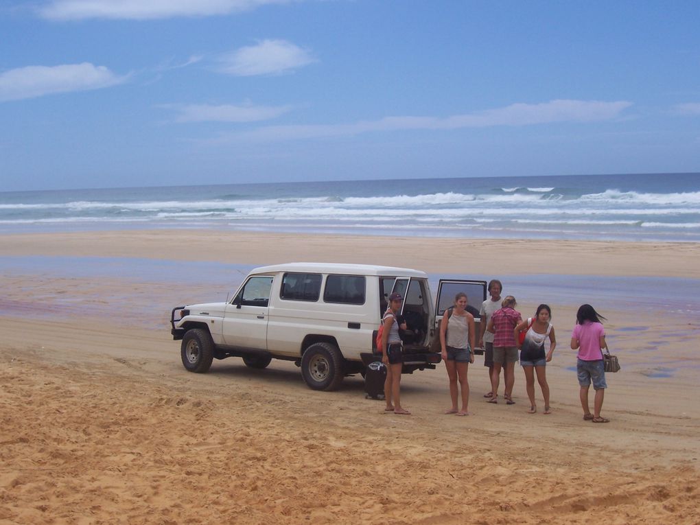 Mal wieder ein toller Urlaub, von Sydney, Brisbane, Fraser Island und last but not least Moreton Island!