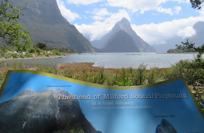 Milford Sound et The chasm