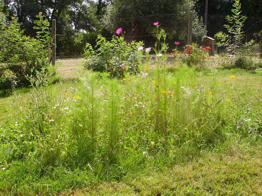 Le Jardin des senteurs, en cours de réalisation à l'Atelier de Marminos, CHS du Gers 