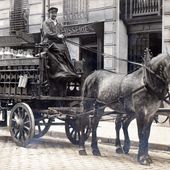 Les voitures de transport du lait ; laitières,.... - attelage-patrimoine