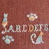 MiniSAL ABC Miaou : Obj.3