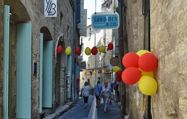 Flânerie dans Pézenas...