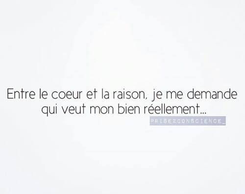 La raison