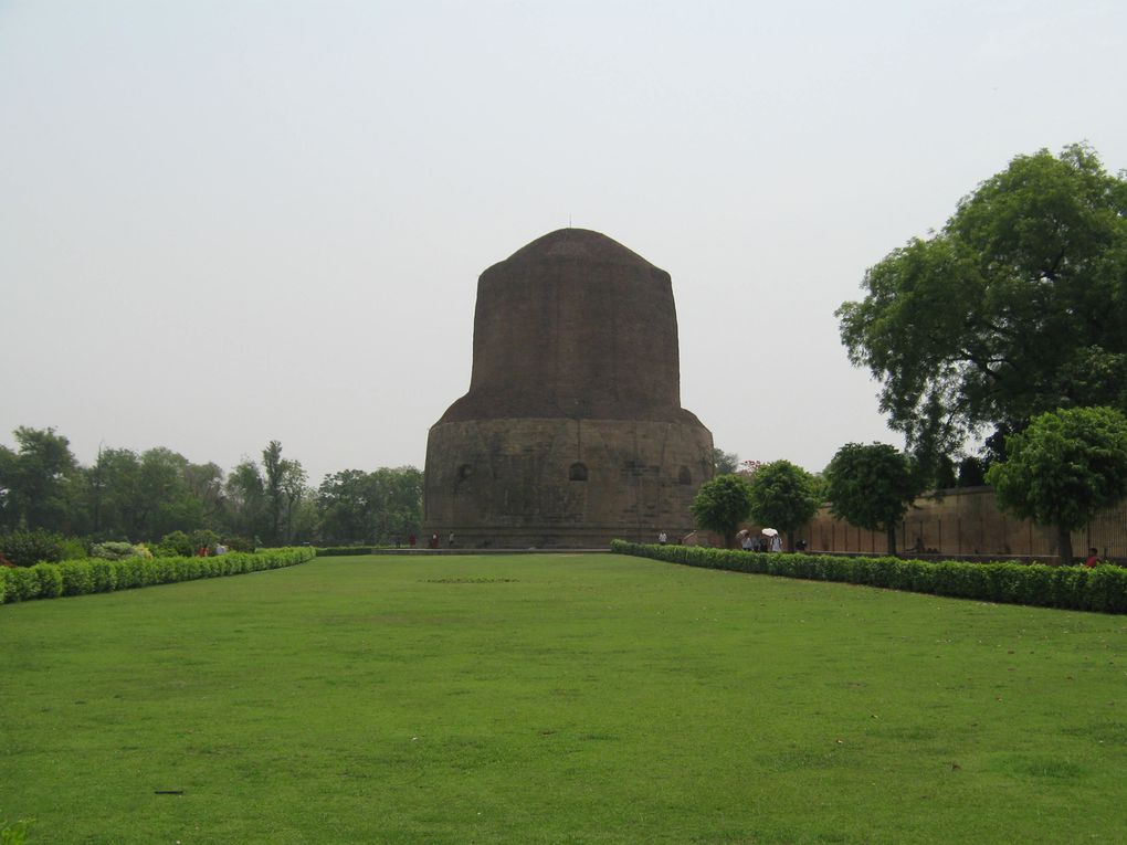 Album - VARANASI