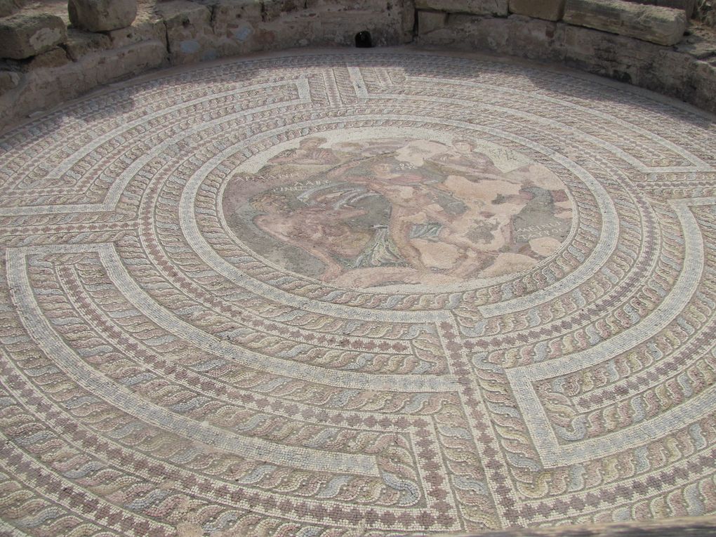 Album des 2 semaines passées sur l'île d'Aphrodite: Larnaca, Kalavasos, Paphos, Omodos, Lemithou,Lefkara, monastère de Kykkos et de St Nicolas des chats