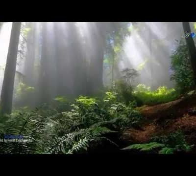 Mix  Michel Pépé - Les Reflets du Silence 