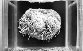 Entités parasites : ces esprits qui sirotent votre force vitale !