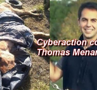 Cyberaction contre Thomas Menant - Cheval maltraité