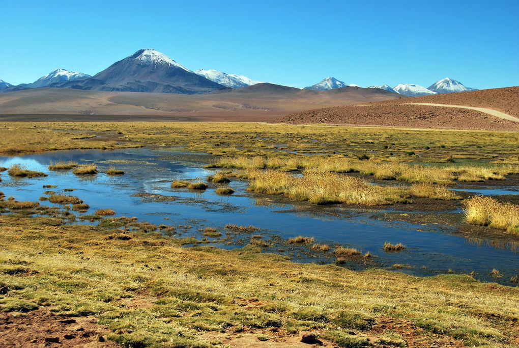 Album - San-Pedro-Atacama