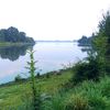 Vers l'étang de Châtillon en Vendelais au petit matin
