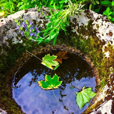 Puiser au fond de soi