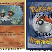 SERIE/XY/ETINCELLES/41-50/48/106 - pokecartadex.over-blog.com