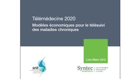 Livre blanc Télémedecine 2020 : prise en charge de maladies chroniques