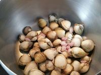 1 - Laisser les coques dégorger dans de l'eau salée pendant quelques heures, en changeant l'eau à plusieurs reprises. Bien les rincer et les faire ouvrir dans un faitout avec une échalote émincée, les 10 cl de Pineau des Charentes, du poivre et du sel pendant quelques minutes à couvert en remuant. Pendant ce temps, ôter le haut de chaque tomate et avec une cuillère les évider en conservant la chair sans les pépins. Découper la chair en petits morceaux et mettre dans un bol. Ciseler finement la 2ème échalote, ajouter aux tomates. 