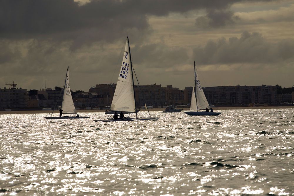 Album - Derby Dragon La Baule 2011 serie 2 Photos Thierry Weber