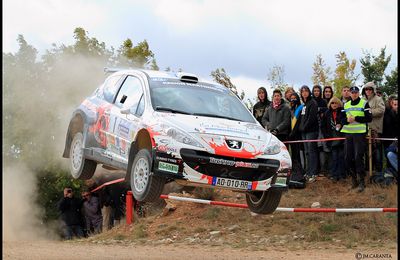 Rallye Des Cardabelles 2011.