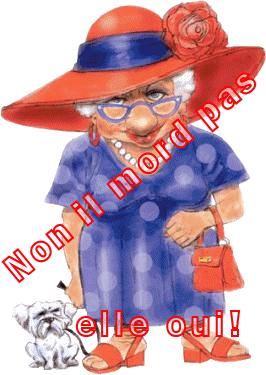 Gifs Humour Le Monde Des Gifs