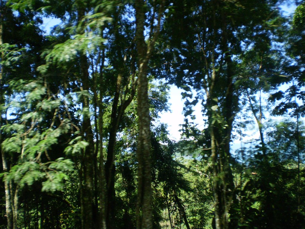 Album - 20100415-Ilha-Grande