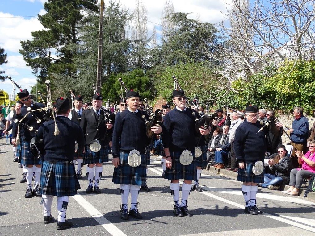 Fête des Jonquilles 2015 - St Etienne de Montluc