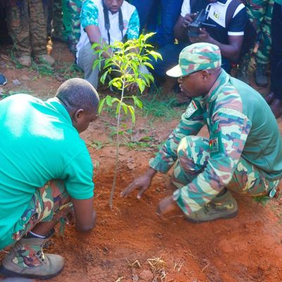 Reboisement national : 2 000 plants mis en terre dans les Hauts-Bassins lors de l’« Heure patriotique pour reverdir le Faso »