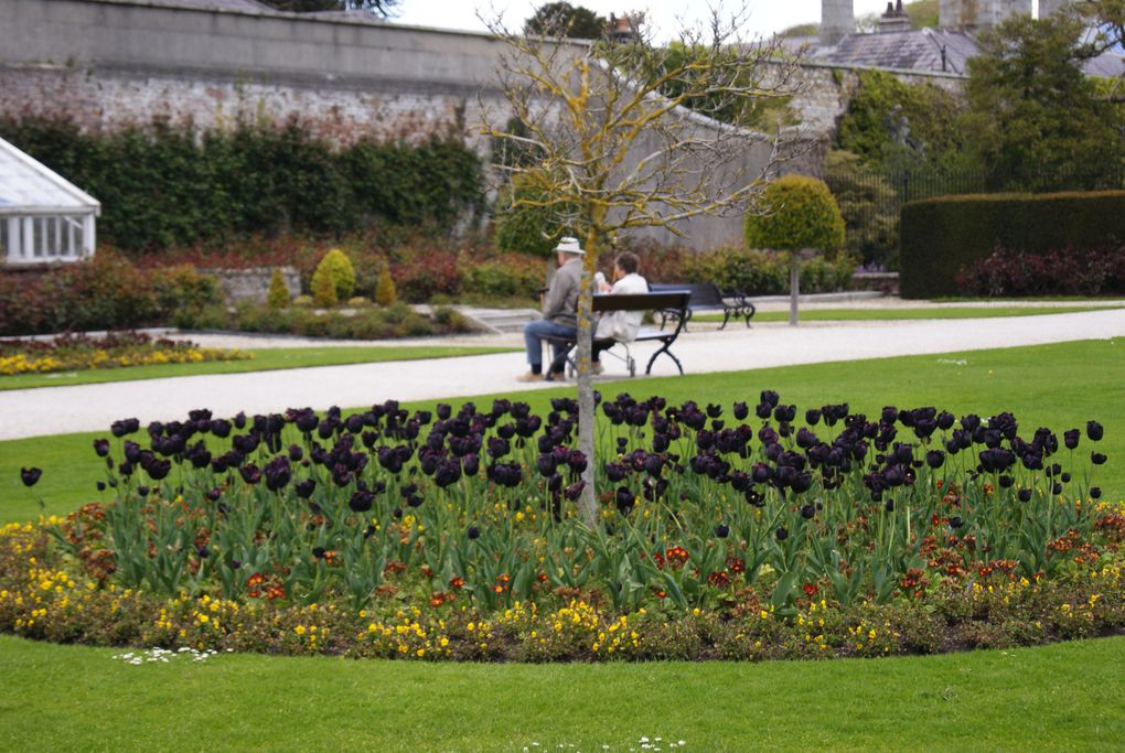 Le parc et les jardins de Powerscourt