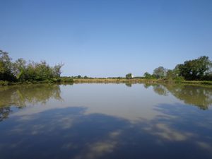 Après être descendus dans un sentier un peu raide pour passer un ruisseau.