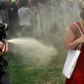 Teargas: a booming market in repressing dissent
