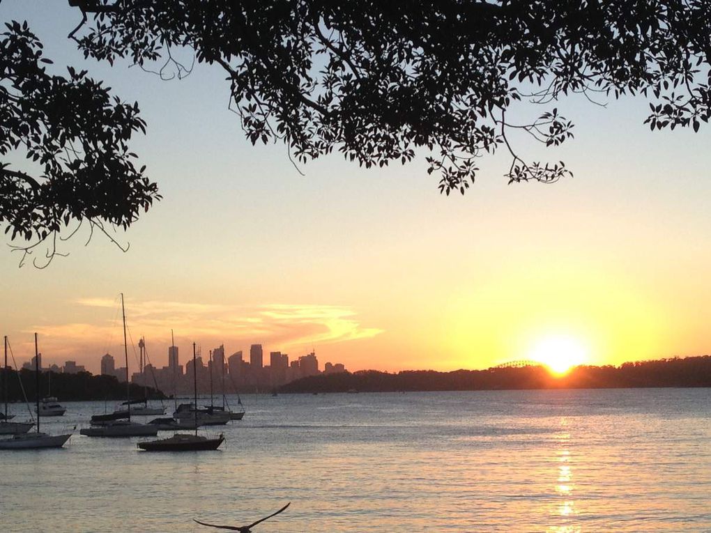 Coucher de soleil à Watson's bay lors de la visite de Fred et Cath' à Sydney... Evidemment on a partagé une petite bière avec vue sur la City...