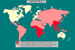 Santé : L'Hépatite B