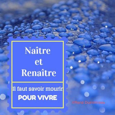 Naître et renaître. Il faut savoir mourir pour vivre.