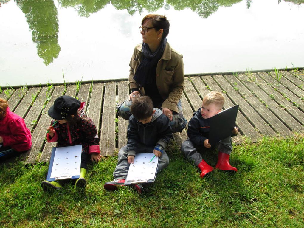 Découverte de la mare avec la classe de Laëtitia