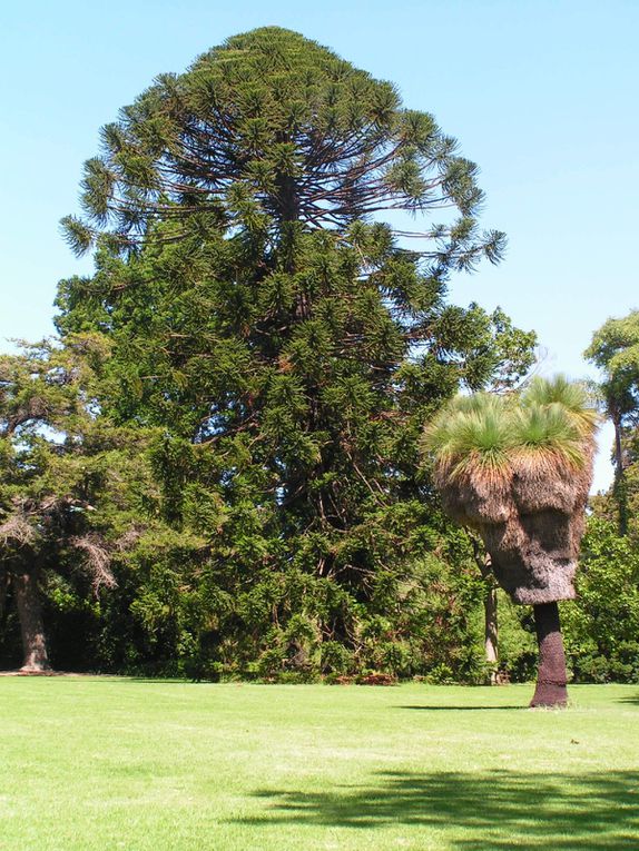 Album - Melbourne-Botanical-Garden