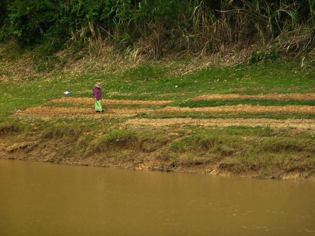 Third city of Cambodia by the number of people. Quiet and many nice places.