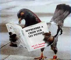 Les oiseaux vous souhaite la bienvenue !! :D