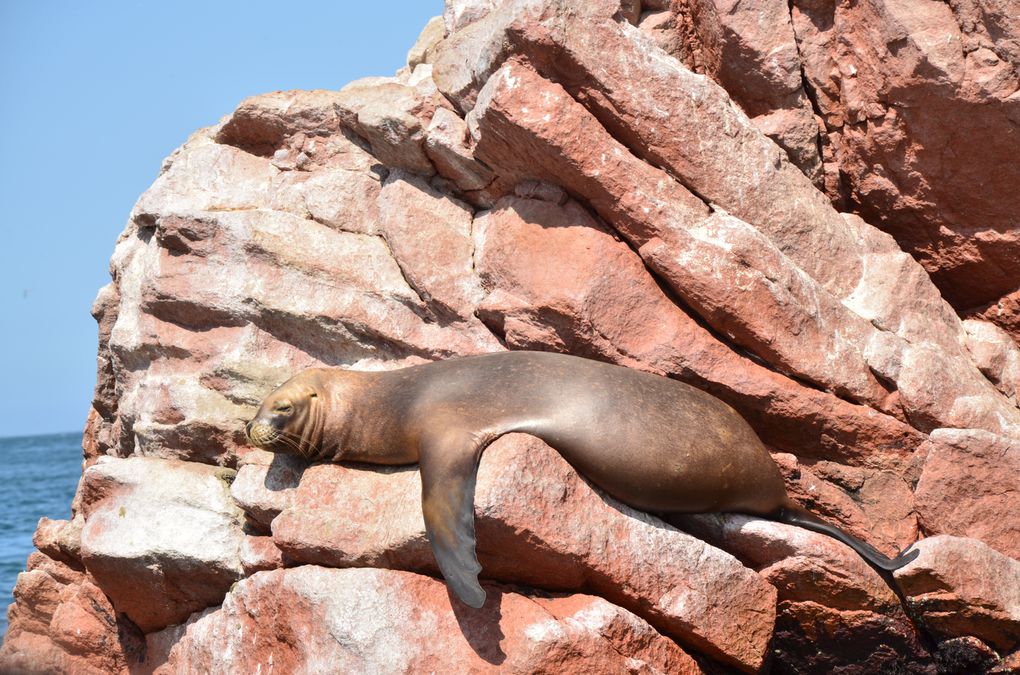 Un séjour de 20 jours au travers des paysages andins de Bolivie et du Pérou