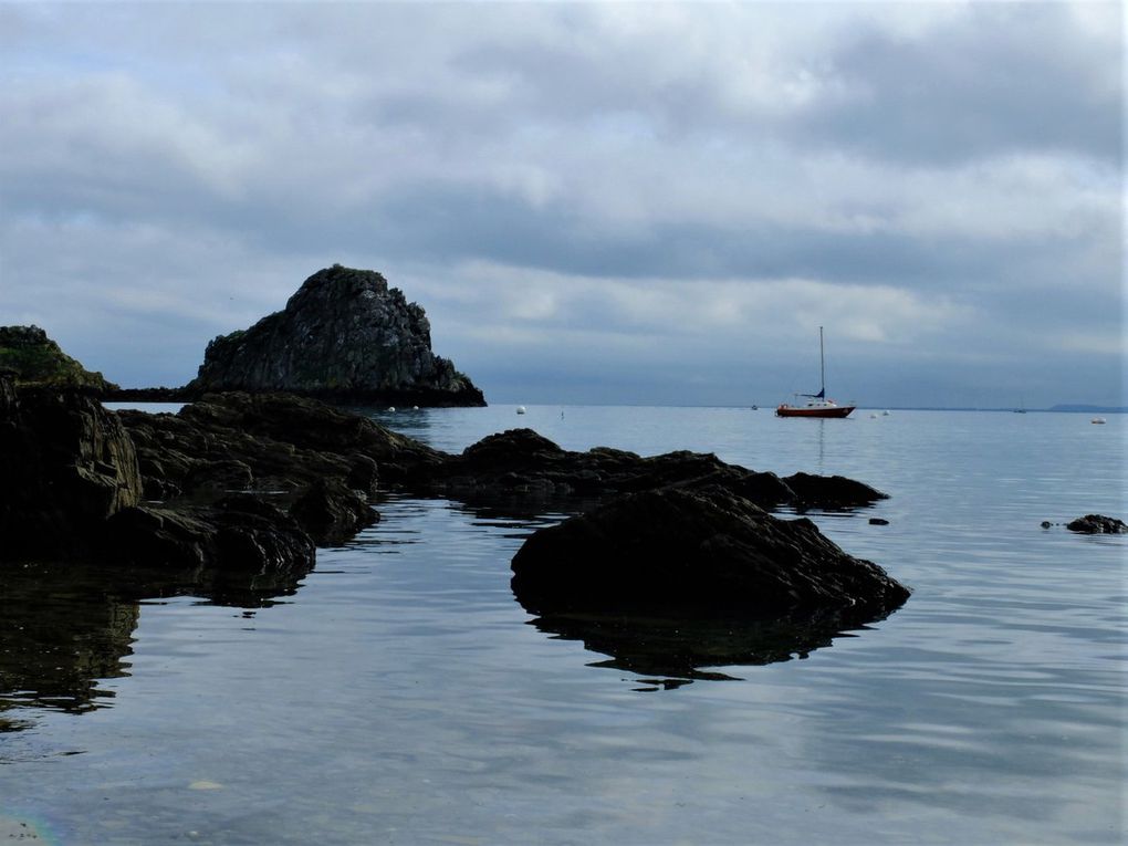 Les &quot;bancales&quot; à Cancale 