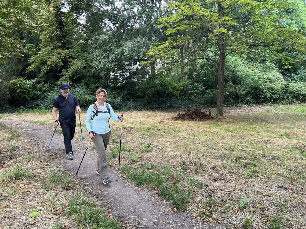 Marche nordique au bois de Vincennes.