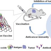 Sélection de 47 études promouvant les nano-particules à base de Graphène - oxyde de graphène, nano-tubes de carbone, points quantiques de graphène, etc - dans les "vaccins" anti-cancer, anti-grippe... et autres
