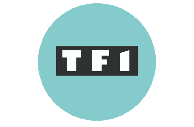 Parmi les projets fiction de TF1 : HPI avec Audrey Fleurot, Fugueuse, et un biopic sur Grégory Lemarchal.