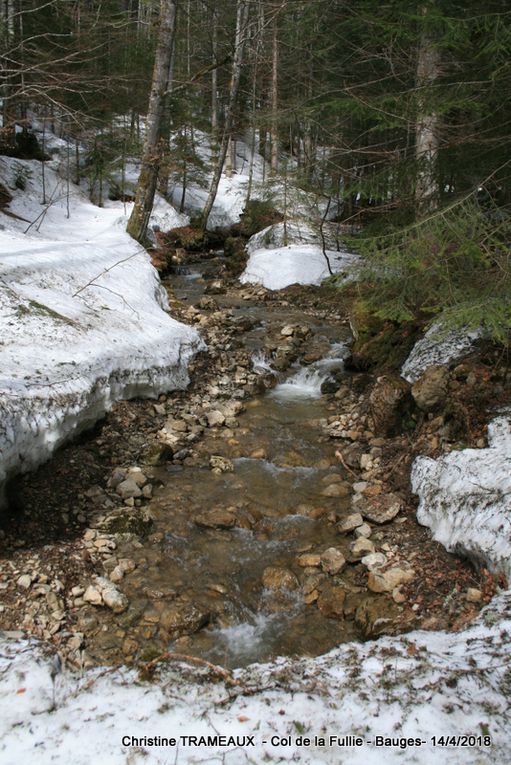 BAUGES - COL DE LA FULLIE