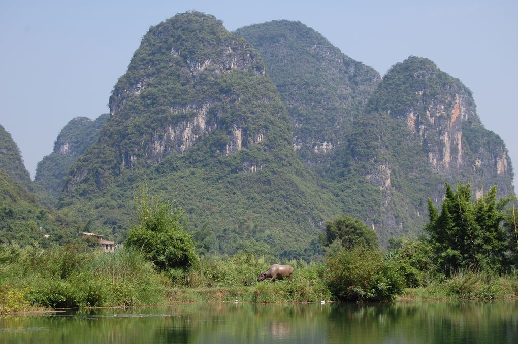 Album - 87 Chine Yangshuo