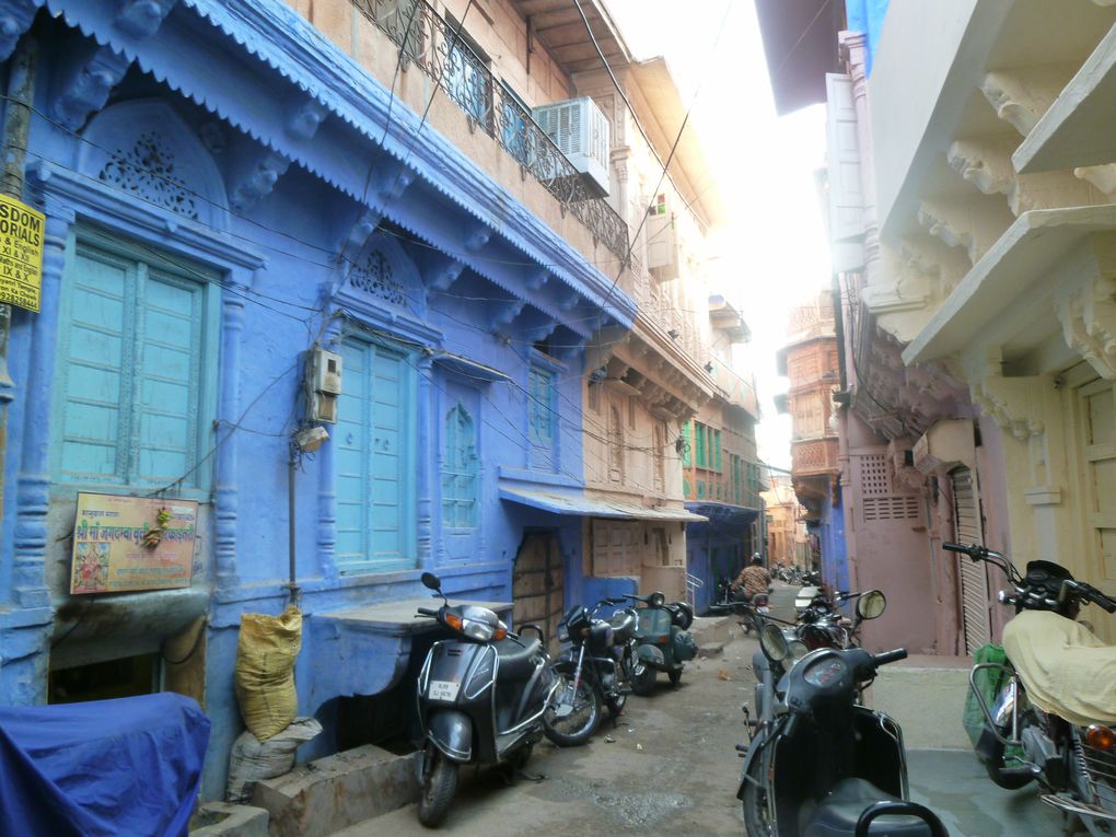 Album - Jodhpur, la Ville bleue