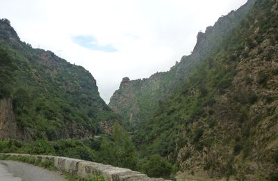 les gorges et les singes de Kherrata 2010