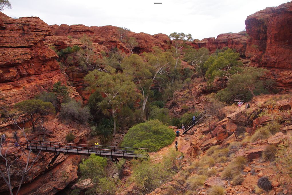 Top 10 de notre Australie