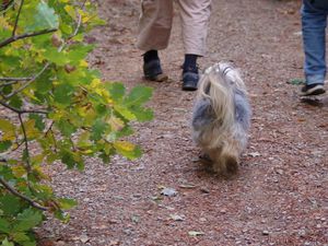 RETROUVAILLES FRATERNELLES ET AMICALES EN ARDECHE