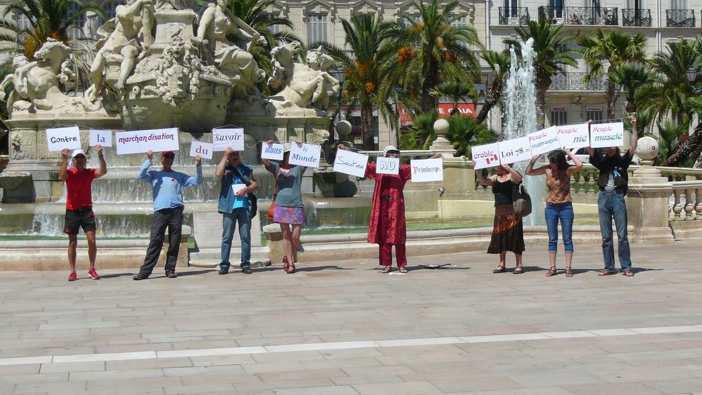 23 Juin 2012 : Prinptemps érable