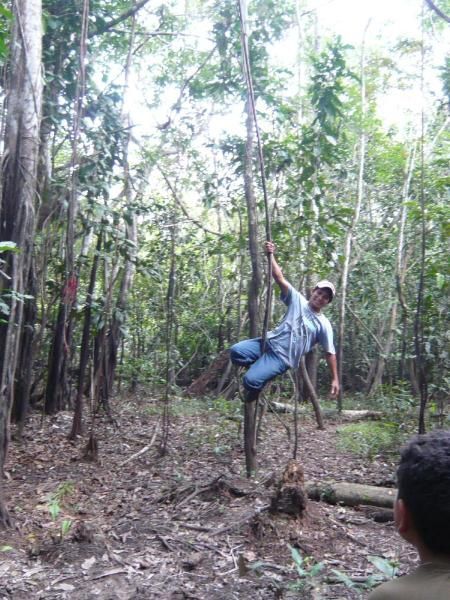 Album - Iquitos,l'Amazonie 12octobre