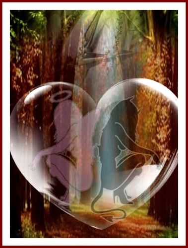 Le Monde De Marisyla Citations Photographies Gifs Images