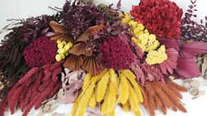 Erfahren Sie mehr über die Vorteile von hochwertigen getrockneten Blumensträußen 
