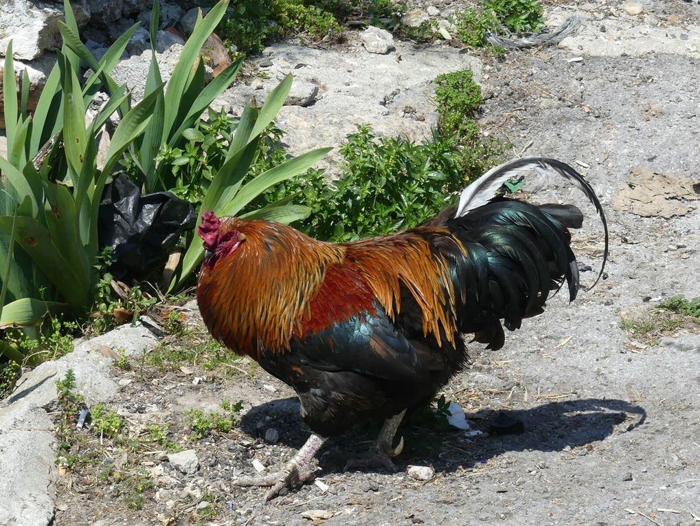Turquie : de la mer Egée à la Lycie ...